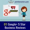 business reviews google plus