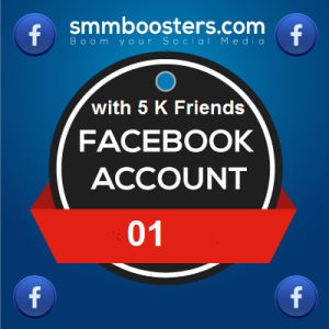Buy Facebook Accounts with Friends